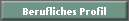 Berufliches Profil